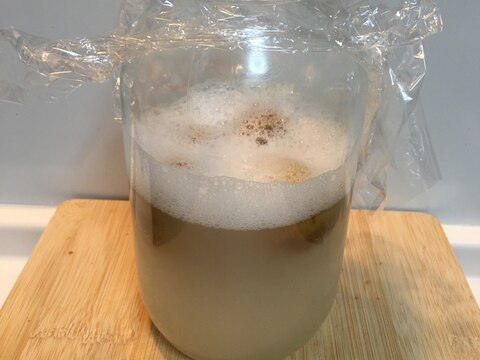 梅シロップの実から、発酵力のある梅の自家製酵母(1)